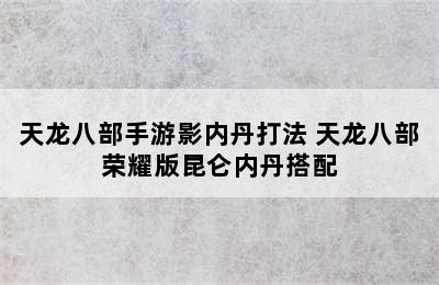 天龙八部手游影内丹打法 天龙八部荣耀版昆仑内丹搭配